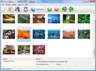 stylish dhtml popup Dhtml Floating Window Center